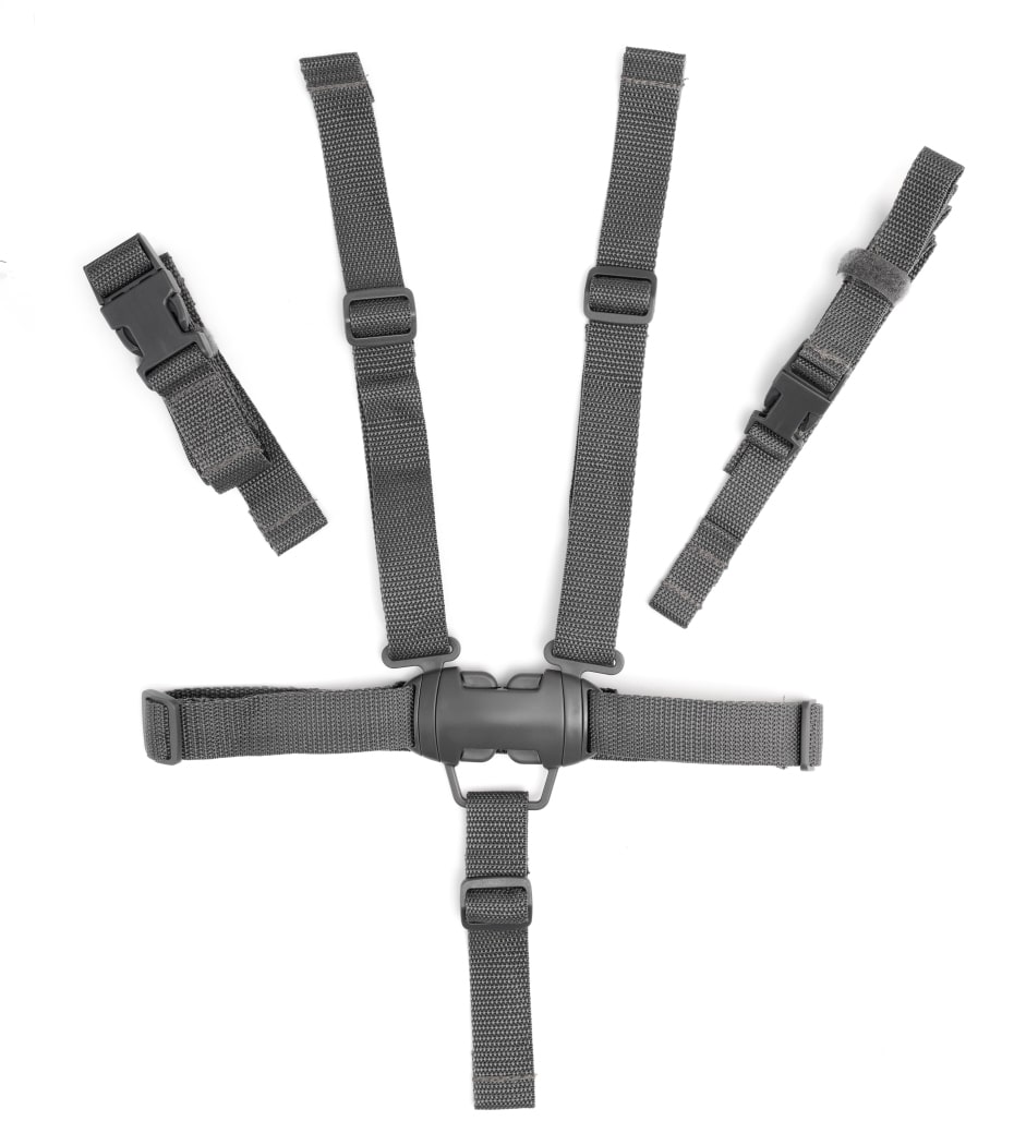Maxi Cosi harness for Minla high chair