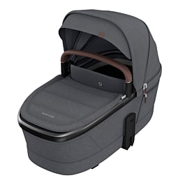 Fame Carrycot