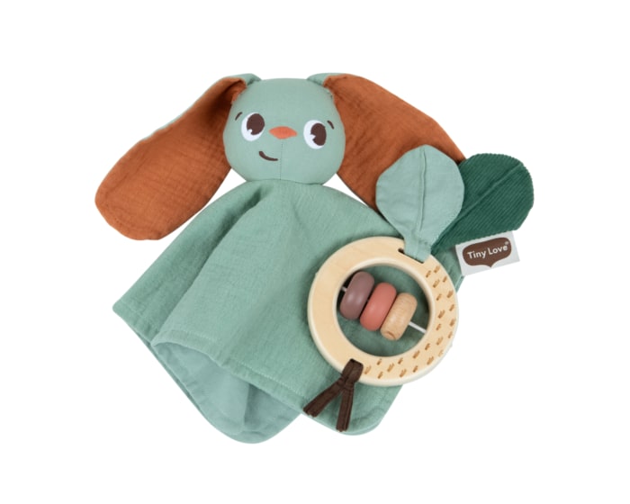 3333170121_2024_Tinylove_developmentaltoy_GiftSet_GardenofAdventures_face_mainview